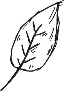 gaar img 4 1