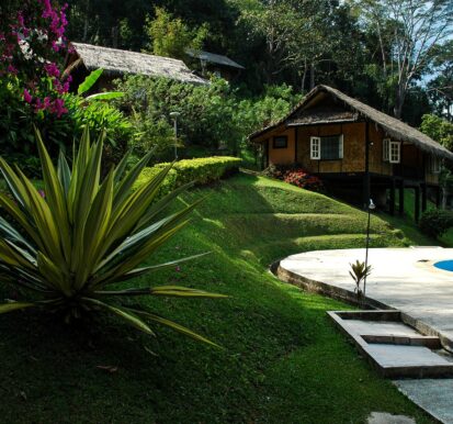 Tropical landscape with lush greenery, a rustic wooden cottage, manicured lawns, and a swimming pool, showcasing professional garden and outdoor construction design.